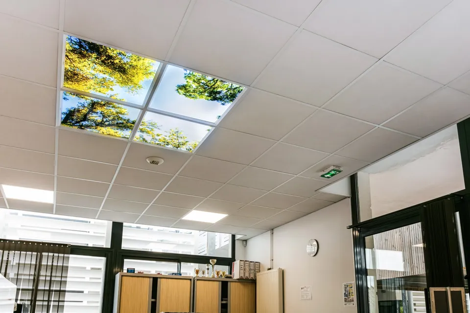 Mise en place d’un plafond LED paysage décoré composé de 4 dalles LED 60 x 60 cm, avec un visuel représentant un ciel avec feuillage.