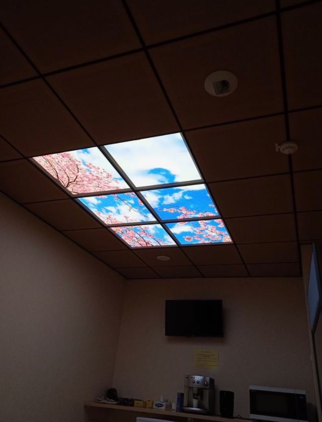 P5 hopital landerneau