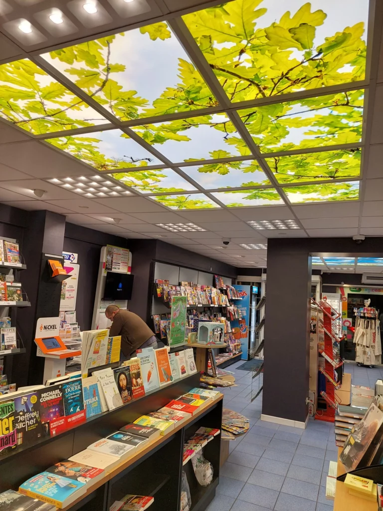 Comment améliorer un espace clos? Fenêtres lumineuses ou plafonds lumineux? 5 Plafond trompe-l’œil lumineux imprimé pour éclairer un commerce sans fenêtre
